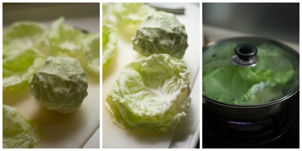 cabbage-rolls-cabbage