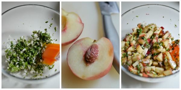 peach-salsa-mix
