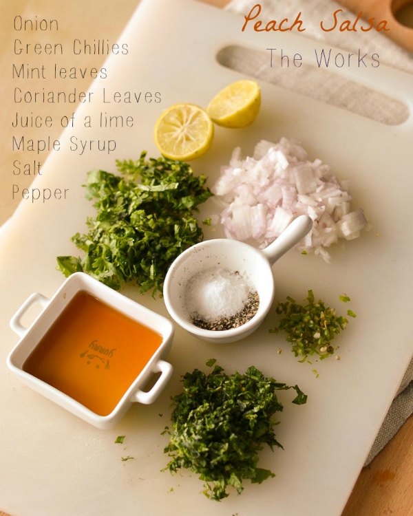 peach-salsa-works