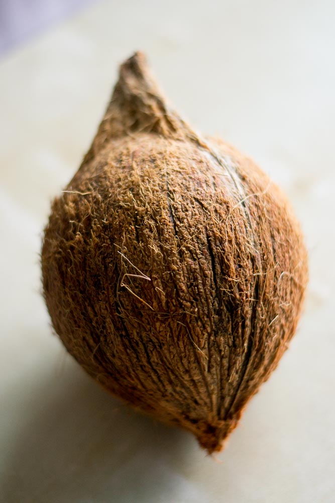 grate-shred-coconut-blender-easy-1-3