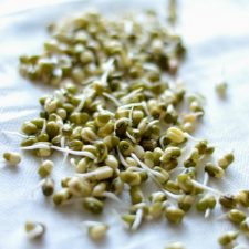 Dmarketline Mung Beans – Sproutable Green Moong – Dry Raw – 1 Lb – Great For Sprouts