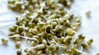 how-to-sprout-mung-bean