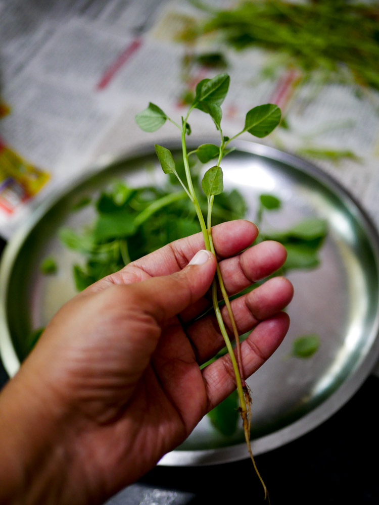 mula-keerai-poriyal-recipe-amaranth-greens-poriyal-1-3