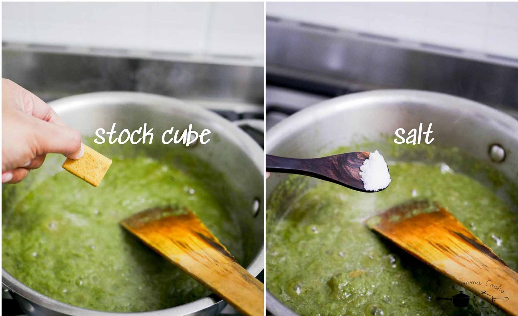 thai-green-curry-from-scratch-vegetarian-vegan-curry-paste-recipe-8